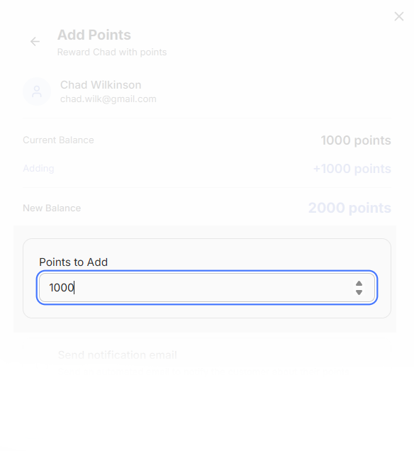 Points management interface showing point addition functionality